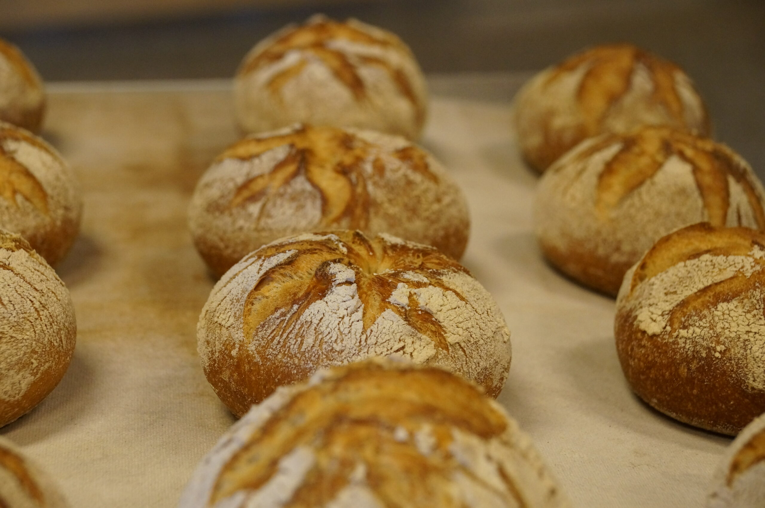 Mischbrot 50/50 | Rezepte zur Inspiration